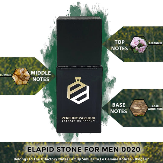 Elapid Stone For Men 0020 - Perfume Parlour