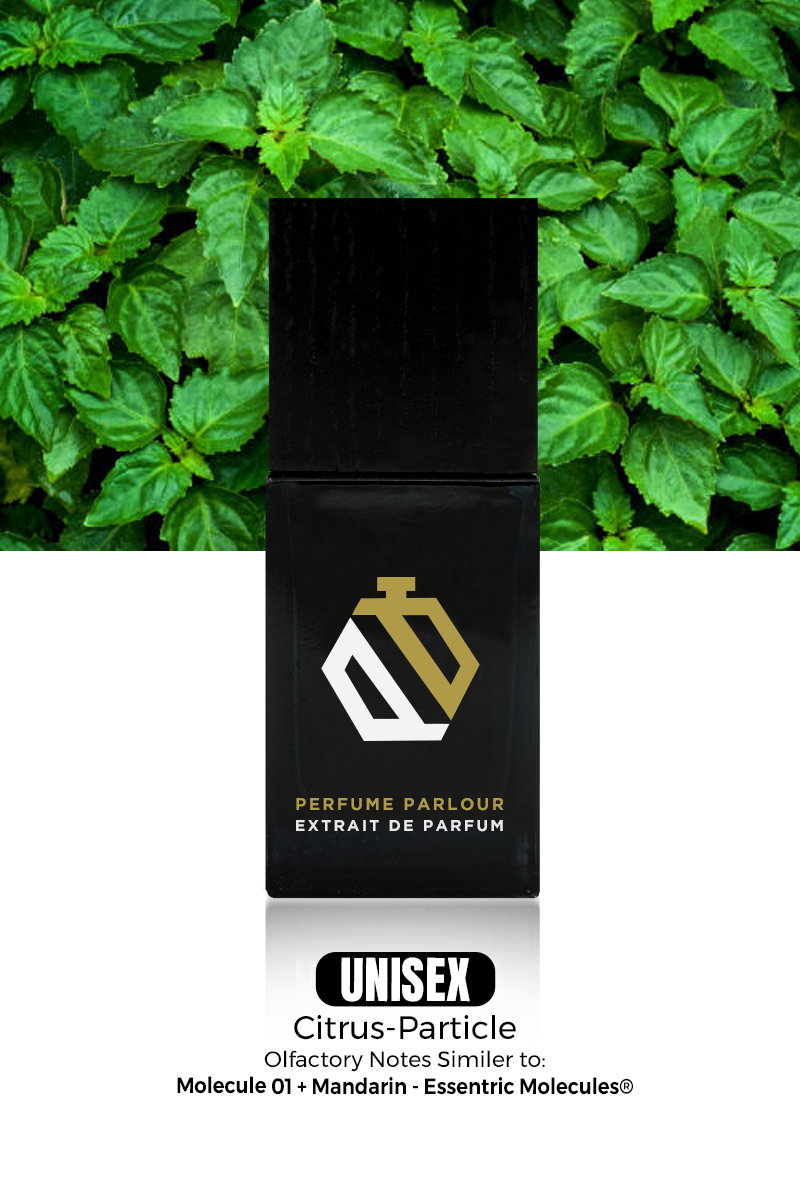 Citrus Particle 0616 – Perfume Parlour UK - Main Image