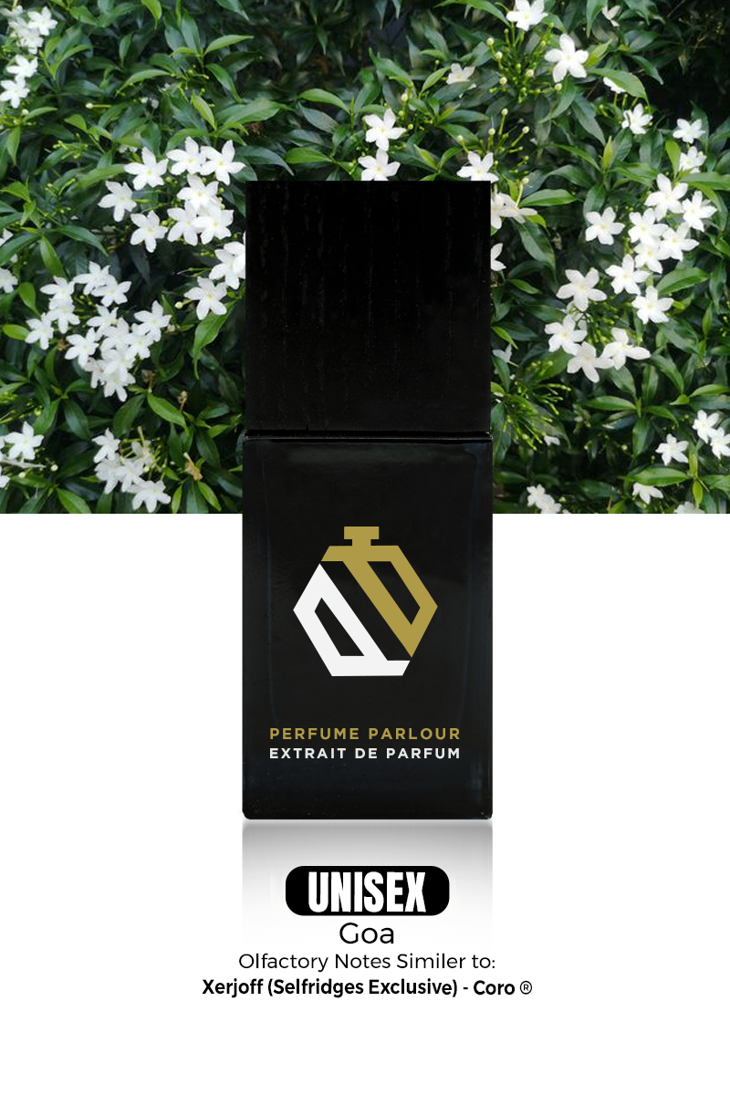 Goa 1367 Selfridges Exclusive Coro ® Dupe Selfridges Exclusive