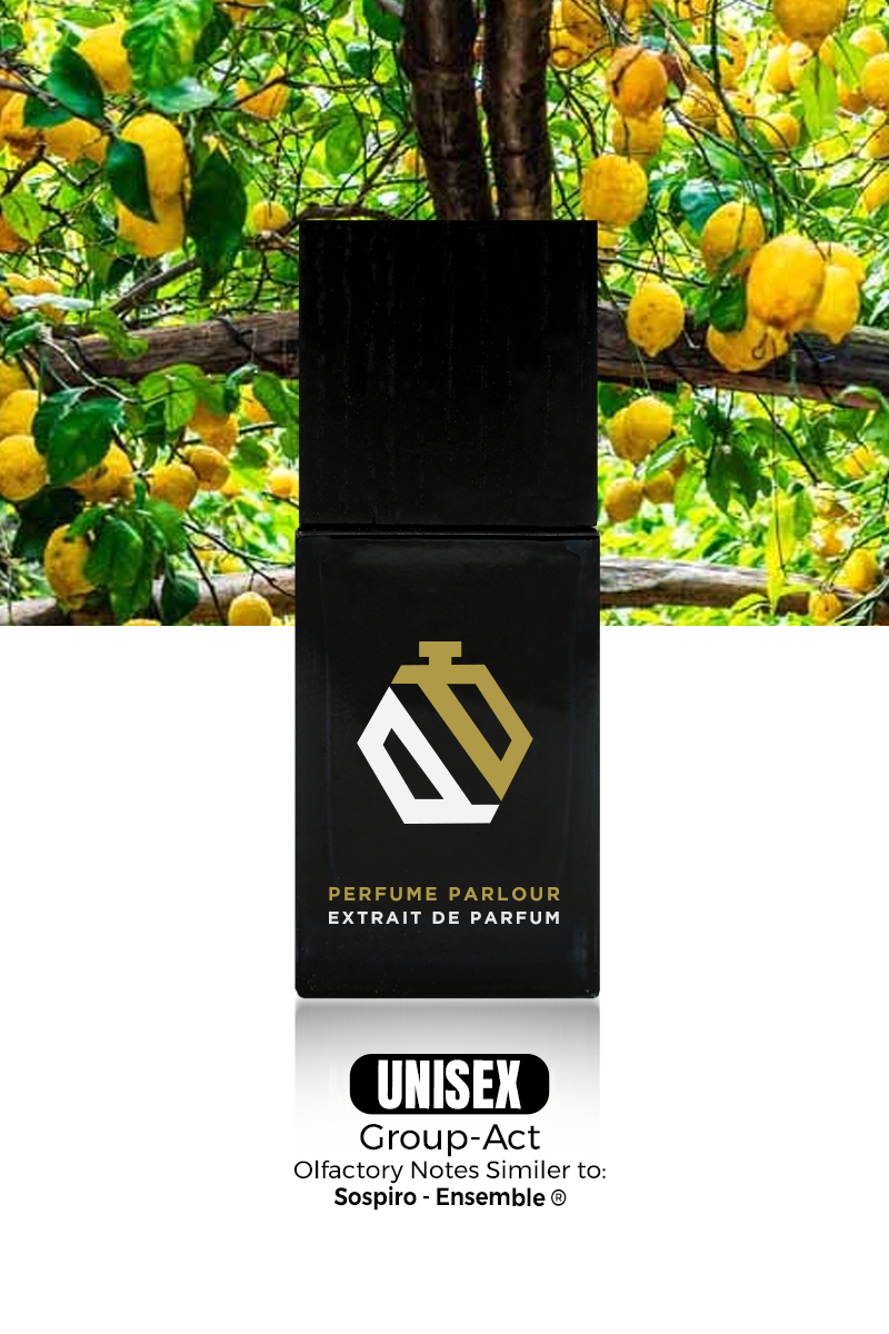 Group Act 1937 Ensemble ® Dupe Ensemble ® Clone – Perfume