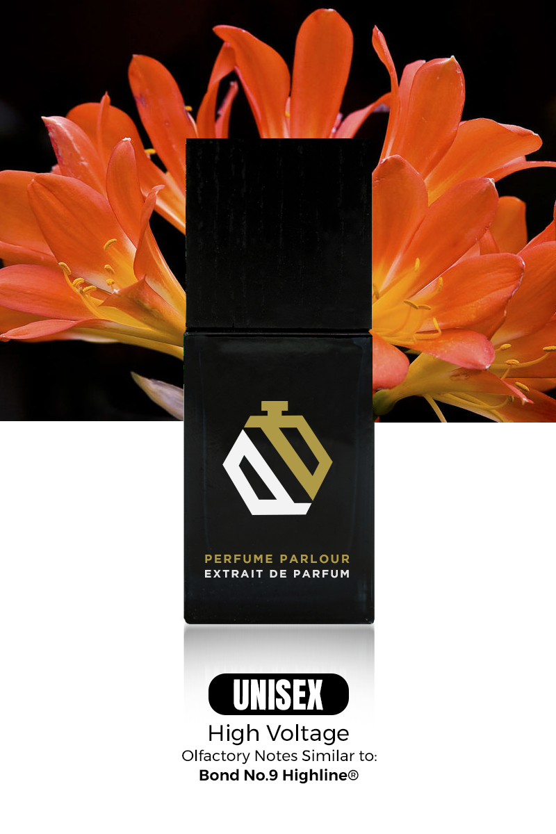 High Voltage 0522 Highline Dupe Highline Clone Perfume Parlour