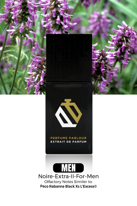 Noire Extra II For Men 1286 - Perfume Parlour