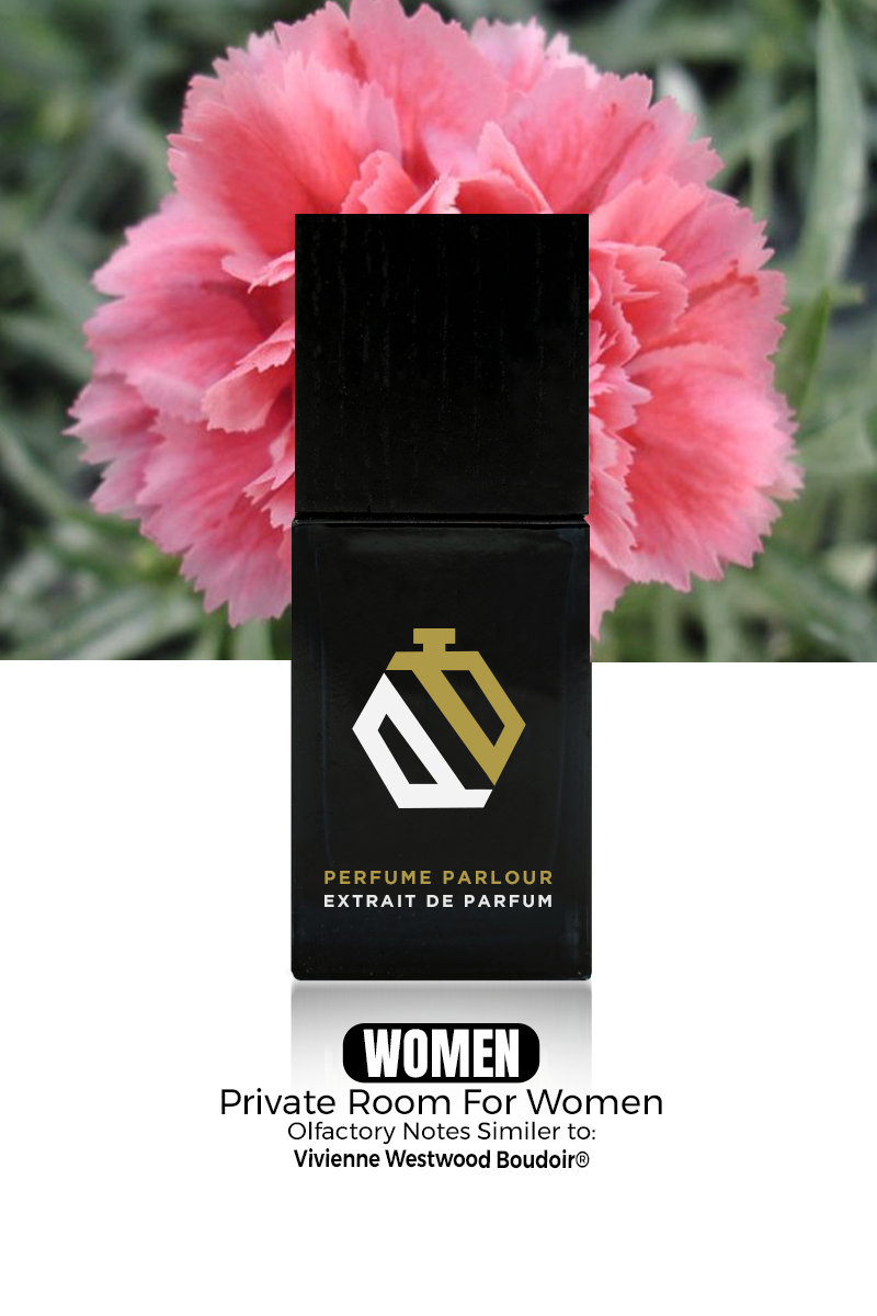 Private Room For Women 1323 Vivienne Westwood Boudoir® Dupe