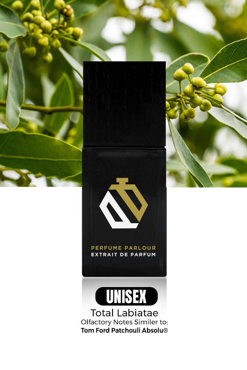 Total Labiatae 1615 Patchouli Absolu® Dupe Patchouli Absolu
