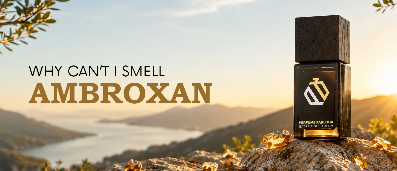 Why Can't I Smell Ambroxan? The Science Behind "Nose Blindness"