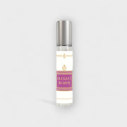 13ml - (EDP Spray) - Express