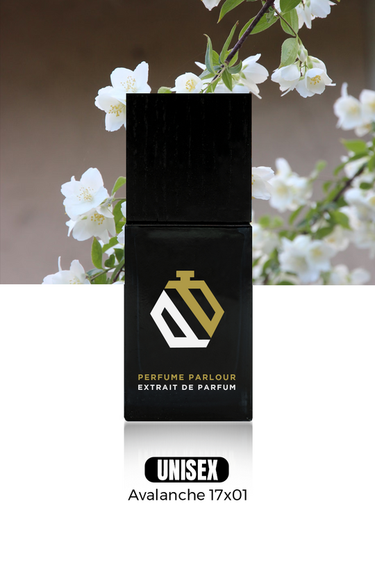 Avalanche 17x01 | - 1870