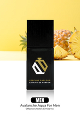 Avalanche Aqua For Men - 1993