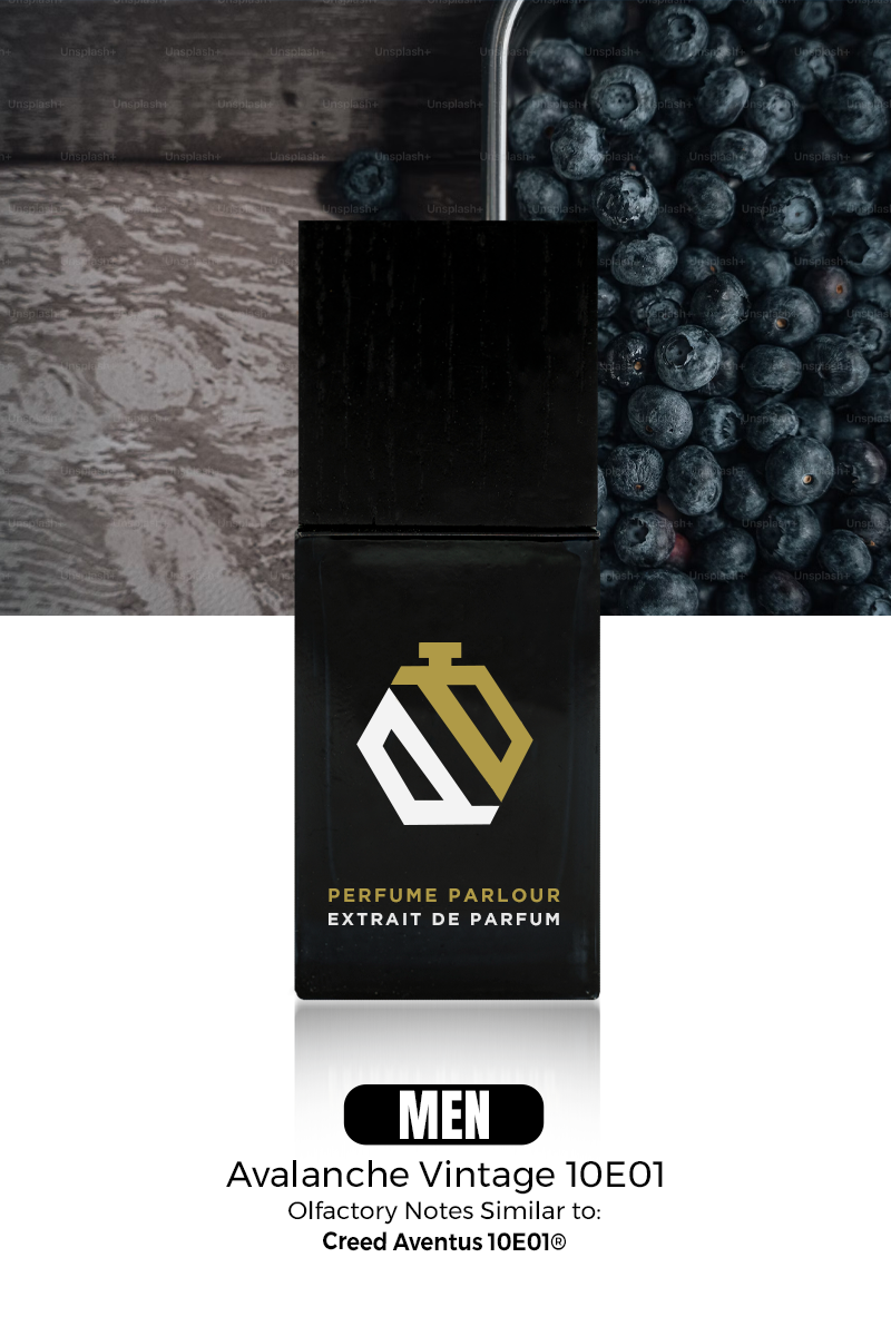 Avalanche Vintage 10E01 - 1965