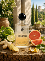 Grandness For Men – 100ml Extrait Premium Edition