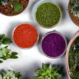Espresso Noir