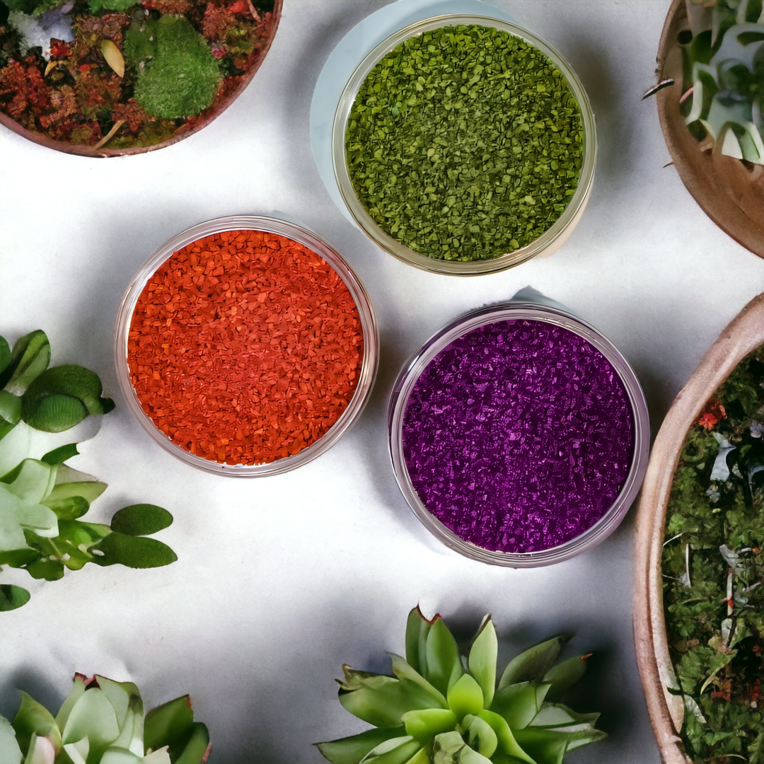Evening Honey