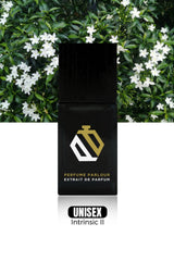 Intrinsic II - 0958