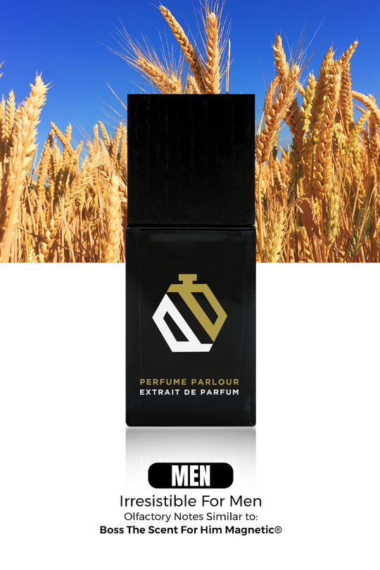 Magnetic Hugo Boss Perfume Formula BOSS The Collection Magnetic