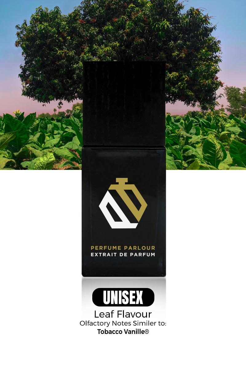 best tobacco vanille clone Twist - Vanilla & No. 12 Perfume Parlours Leaf Flavour 0401 is The Best Vanille Clone You Can Buy Today! Tobacco Edition Best Tom Ford