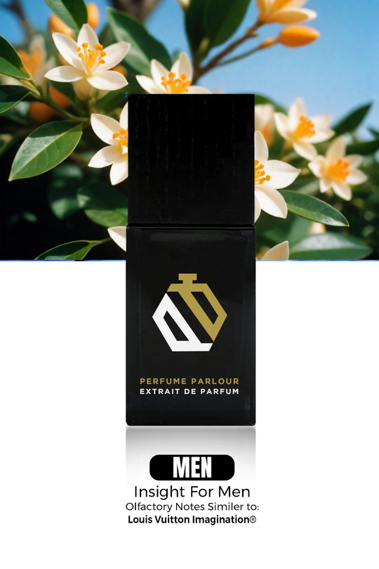 Insight For Men 1642 Imagination® Dupe Clone – Perfume Parlour UK