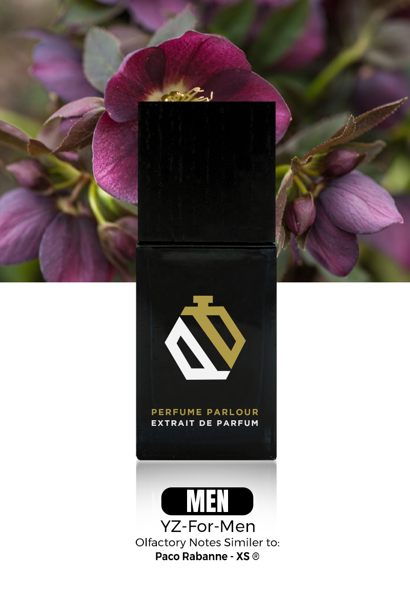 YZ For Men 0674 - Perfume Parlour