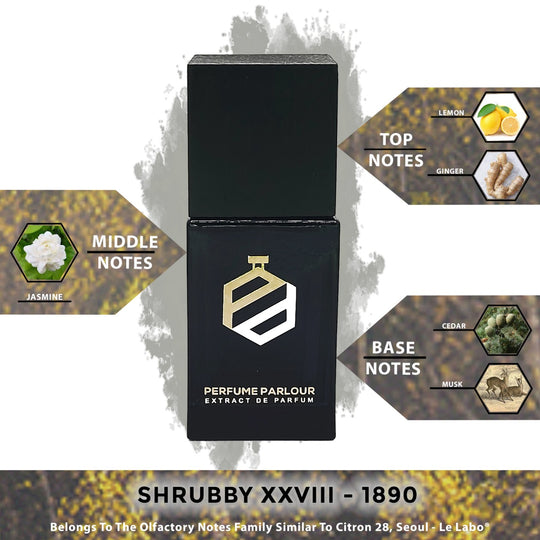 Shrubby XXVIII - 1890 - Perfume Parlour
